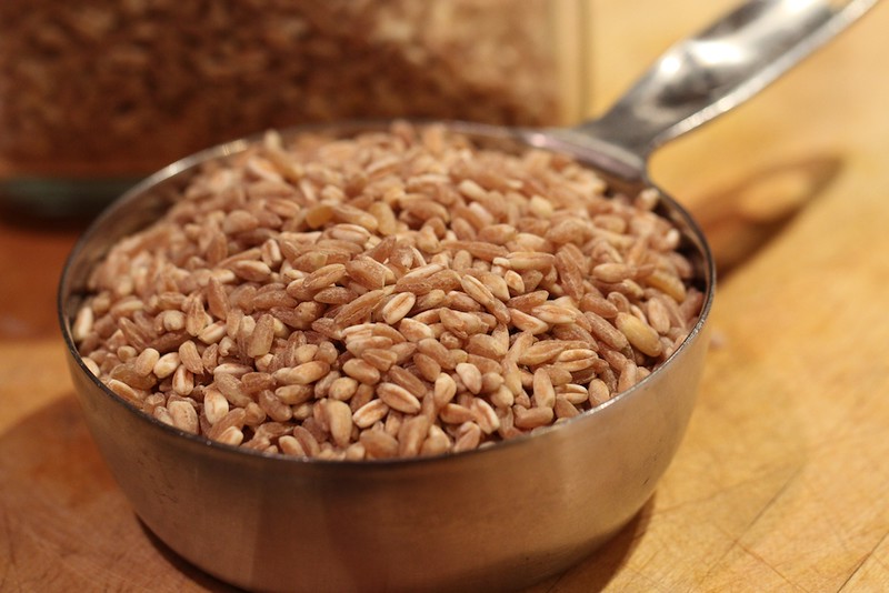 파로 farro